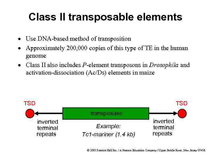 Class II transposable elements · Use DNA-based method of transposition · Approximately 200, 000