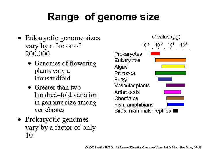 Range of genome size · Eukaryotic genome sizes vary by a factor of 200,