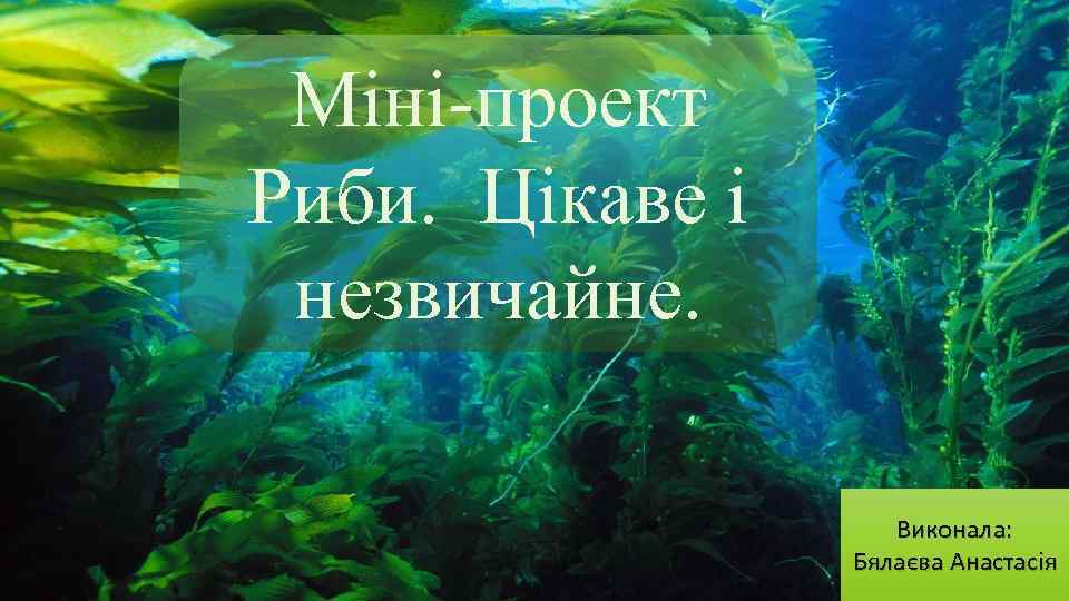 Міні-проект Риби. Цікаве і незвичайне. Виконала: Бялаєва Анастасія 