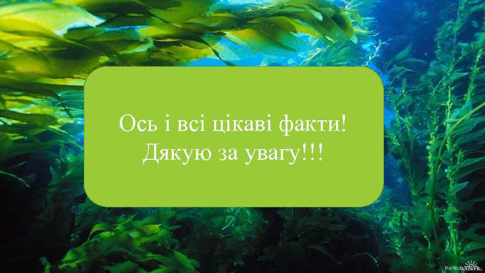 Ось і всі цікаві факти! Дякую за увагу!!! 