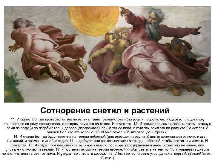 Сотворение светил и растений 11. И сказал Бог: да произрастит земля зелень, траву, сеющую