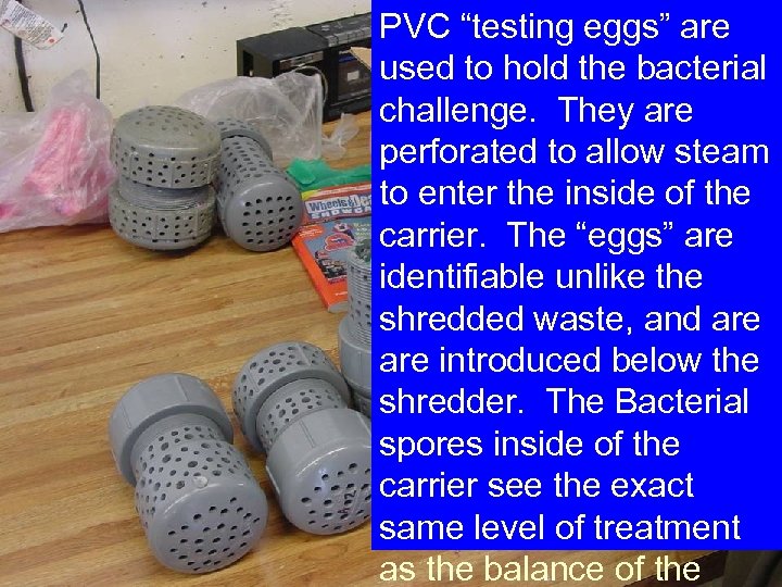 PVC “testing eggs” are used to hold the bacterial challenge. They are perforated to