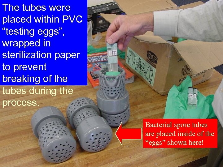 The tubes were placed within PVC “testing eggs”, wrapped in sterilization paper to prevent