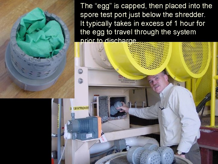 The “egg” is capped, then placed into the spore test port just below the