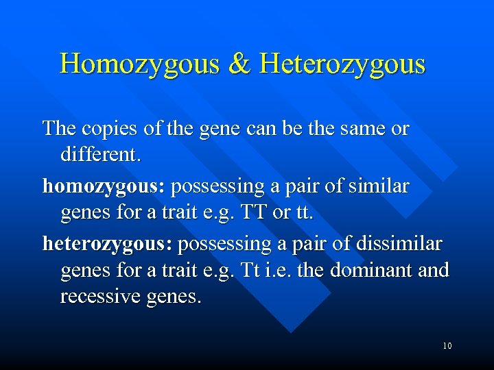 Homozygous & Heterozygous The copies of the gene can be the same or different.