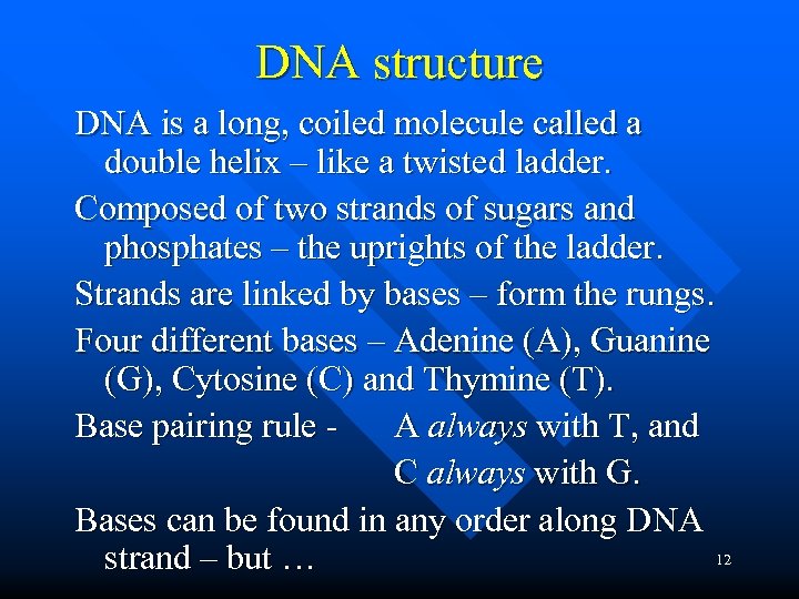 DNA structure DNA is a long, coiled molecule called a double helix – like