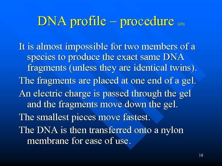 DNA profile – procedure (2/3) It is almost impossible for two members of a