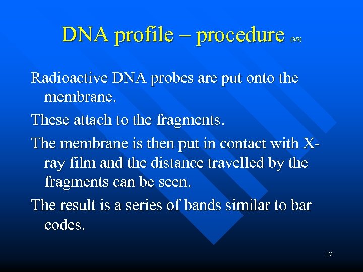 DNA profile – procedure (3/3) Radioactive DNA probes are put onto the membrane. These