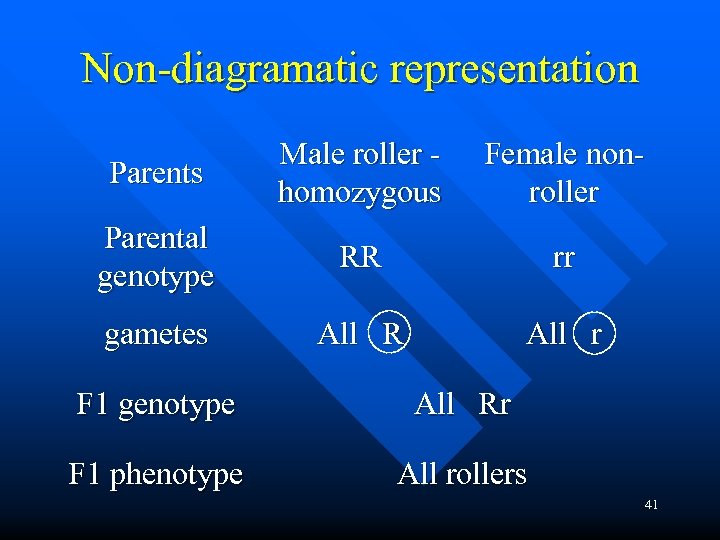 Non-diagramatic representation Parents Male roller homozygous Female nonroller Parental genotype RR rr gametes All