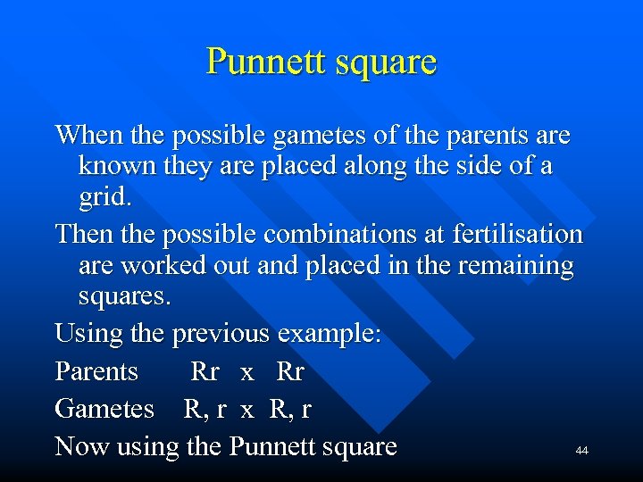 Punnett square When the possible gametes of the parents are known they are placed
