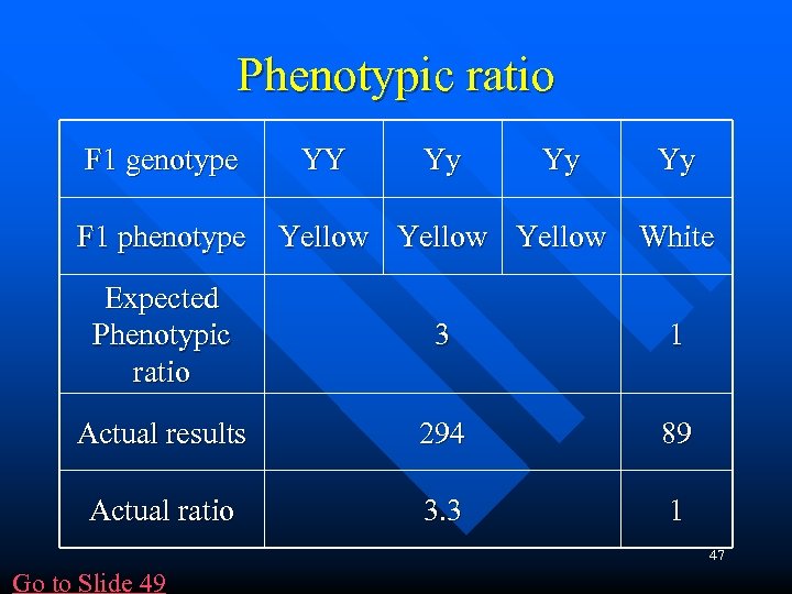 Phenotypic ratio F 1 genotype YY Yy Yy Yy F 1 phenotype Yellow White