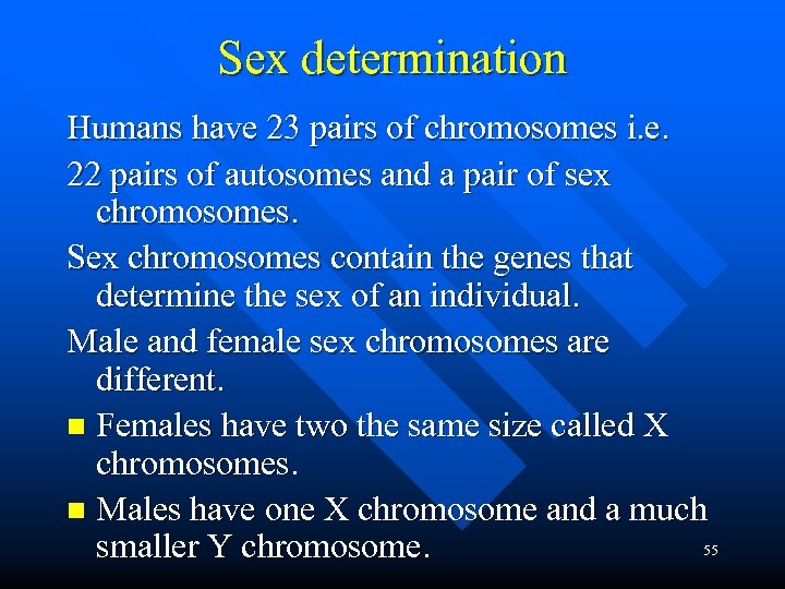Sex determination Humans have 23 pairs of chromosomes i. e. 22 pairs of autosomes