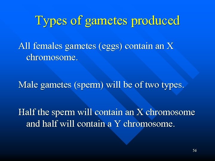 Types of gametes produced All females gametes (eggs) contain an X chromosome. Male gametes