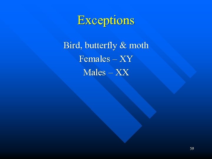 Exceptions Bird, butterfly & moth Females – XY Males – XX 59 