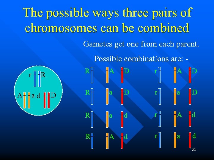 The possible ways three pairs of chromosomes can be combined Gametes get one from