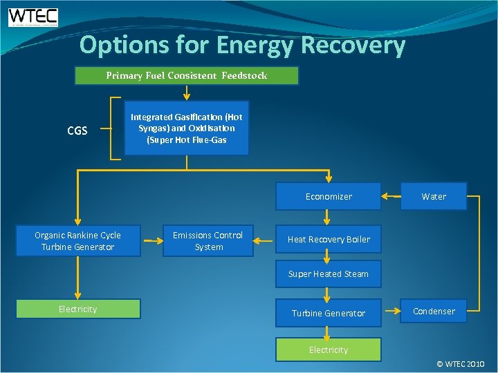 Options for Energy Recovery Primary Fuel Consistent Feedstock CGS Integrated Gasification (Hot Syngas) and