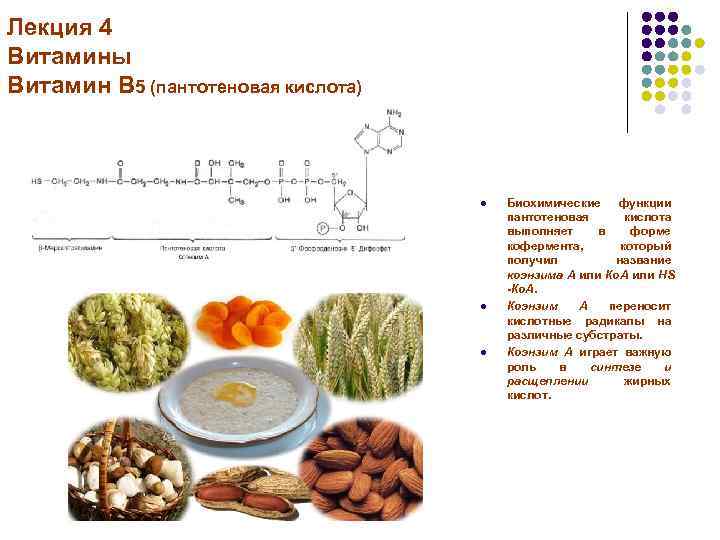 Фолиевая кислота пантотеновая кислота и биотин. Витамин б5 пантотеновая кислота. Витамин b5 биохимические функции. Витамины лекция. Лекция по витаминам.