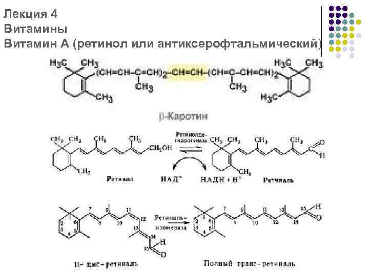 Лекция 4 Витамины Витамин А (ретинол или антиксерофтальмический) 