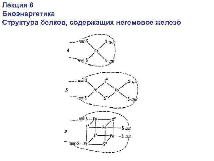 Лекция 8 Биоэнергетика Структура белков, содержащих негемовое железо 