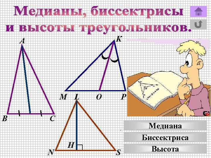 К А М L В О Р С N H S Медиана Биссектриса Высота