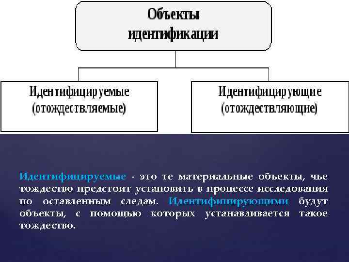 Идентифицируемые - это те материальные объекты, чье тождество предстоит установить в процессе исследования по