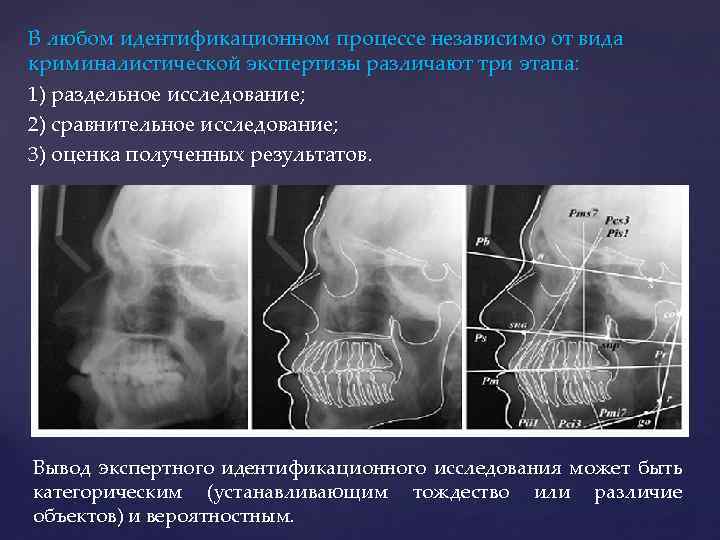 В любом идентификационном процессе независимо от вида криминалистической экспертизы различают три этапа: 1) раздельное