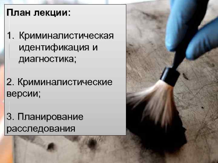 План лекции: 1. Криминалистическая идентификация и диагностика; 2. Криминалистические версии; 3. Планирование расследования 