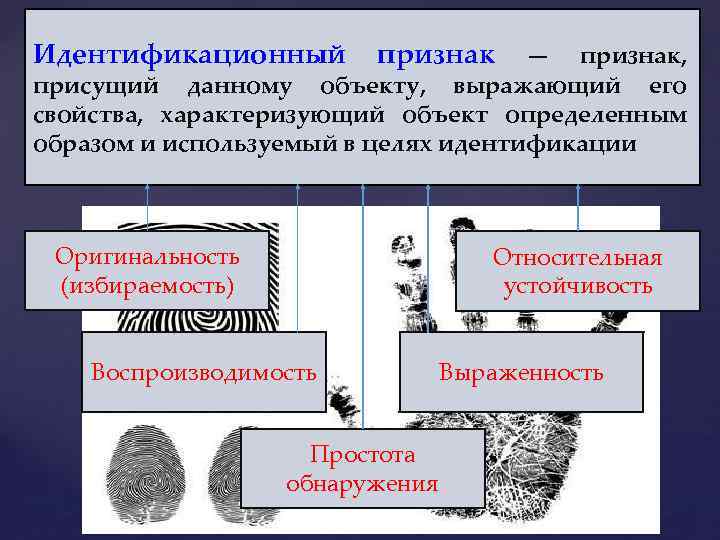 Идентификационный признак — признак, присущий данному объекту, выражающий его свойства, характеризующий объект определенным образом