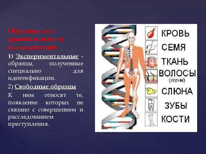 Образцы для сравнительного исследования: 1) Экспериментальные образцы, полученные специально для идентификации. 2) Свободные образцы