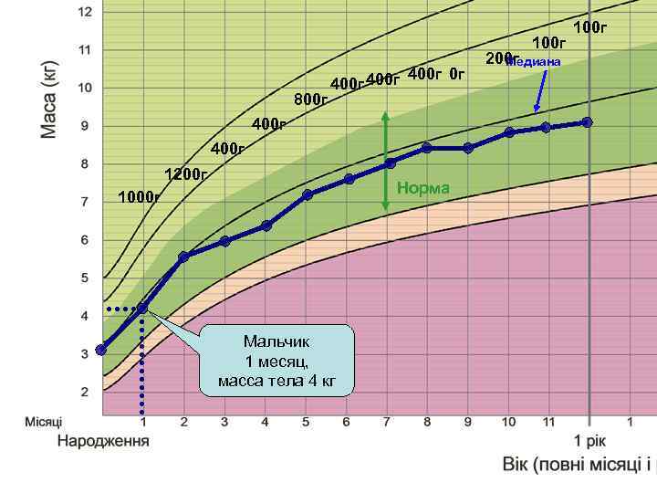 100 г 800 г 400 г 400 г 1200 г Норма 1000 г Мальчик