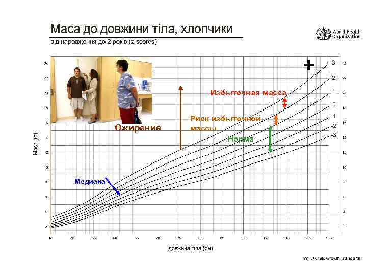 + Избыточная масса Ожирение Медиана Риск избыточной массы Норма 