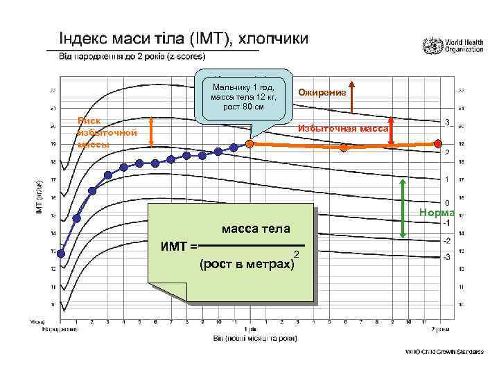 Хлопчику 1 рік, Мальчику 1 год, маса тіла 12 кг, масса теласм: кг, зріст