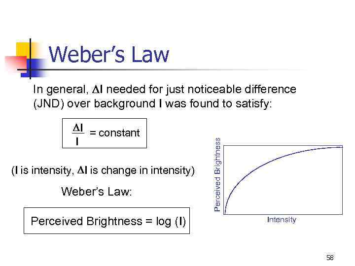 Weber’s Law DI = constant I (I is intensity, DI is change in intensity)