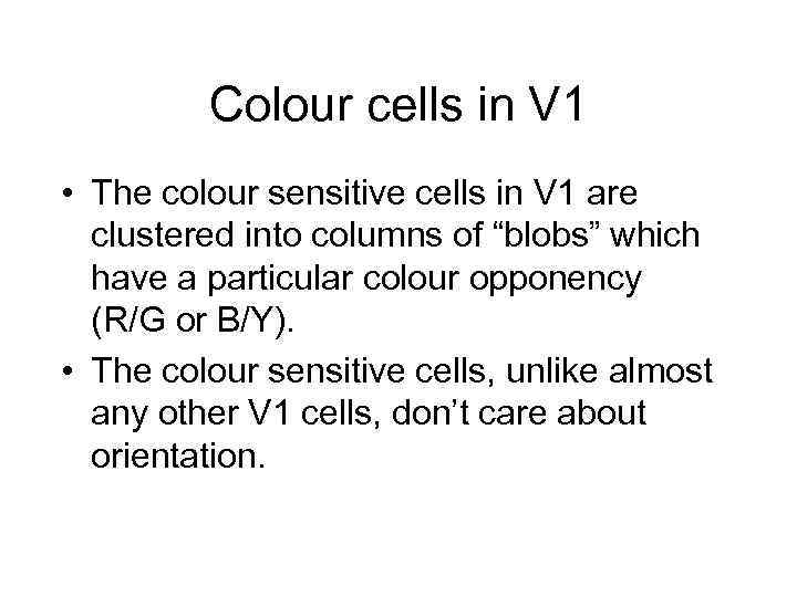 Colour cells in V 1 • The colour sensitive cells in V 1 are