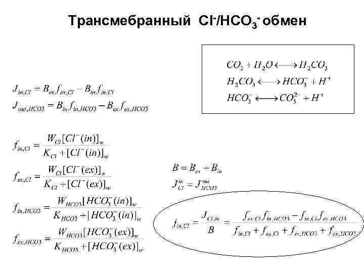 Трансмебранный Cl-/HCO 3 - обмен 