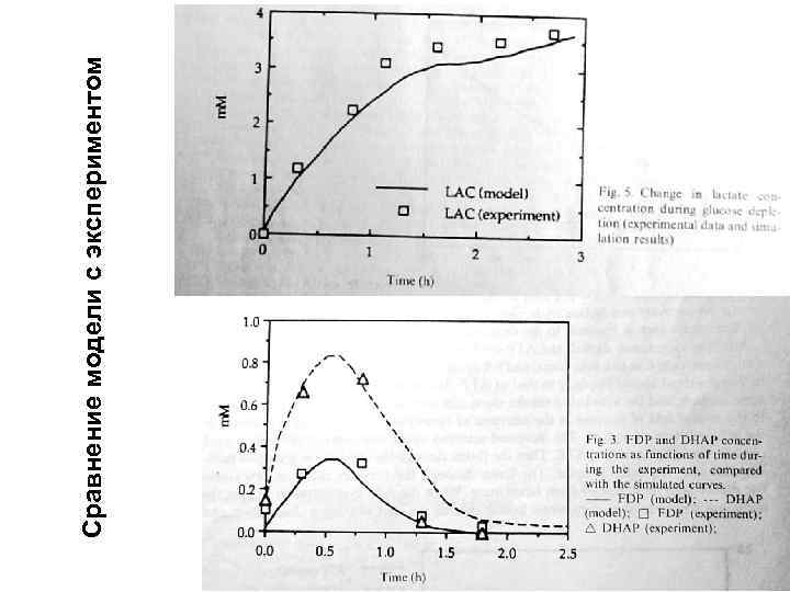 Сравнение модели с экспериментом 