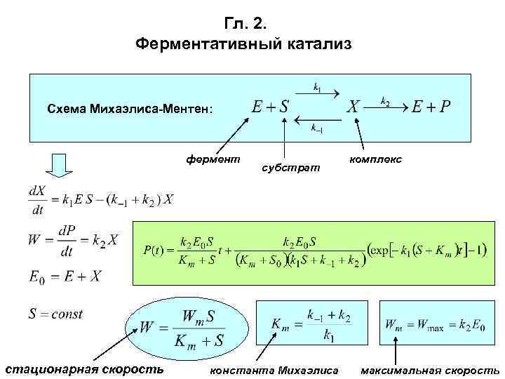 Гл. 2. Ферментативный катализ Схема Михаэлиса-Ментен: фермент стационарная скорость субстрат константа Михаэлиса комплекс максимальная