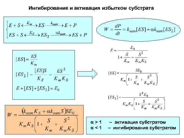 Ингибирование и активация избытком субстрата >1 <1 – активация субстратом – ингибирование субстратом 