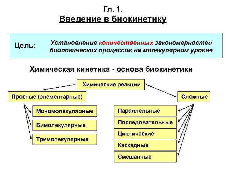 Гл. 1. Введение в биокинетику Цель: Установление количественных закономерностей биологических процессов на молекулярном уровне