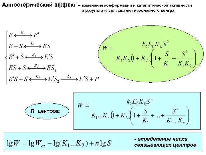 Аллостерический эффект – изменение конформации и каталитической активности в результате связывания неосновного центра n