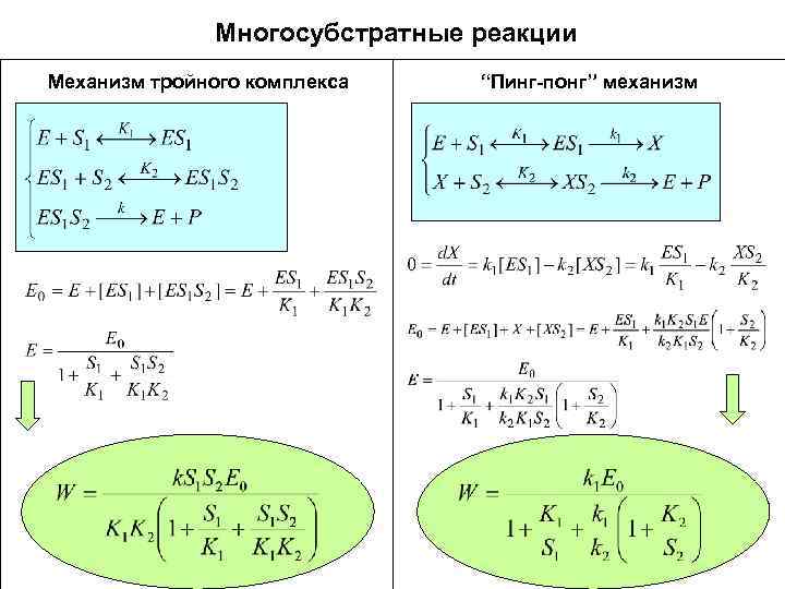 Многосубстратные реакции Механизм тройного комплекса “Пинг-понг” механизм 
