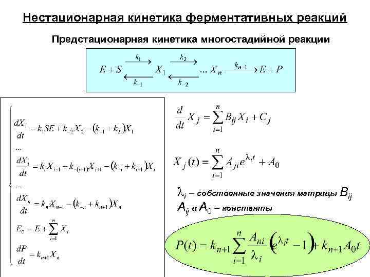 Нестационарная кинетика ферментативных реакций Предстационарная кинетика многостадийной реакции i – собственные значения матрицы Bij