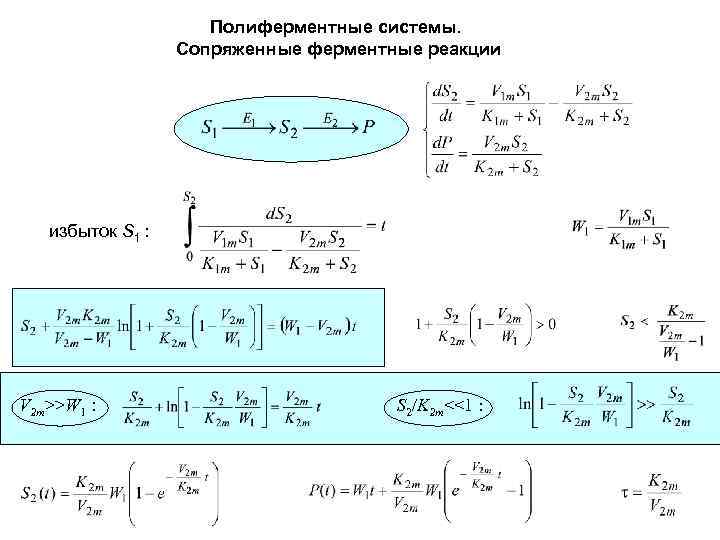 Полиферментные системы. Сопряженные ферментные реакции избыток S 1 : V 2 m>>W 1 :
