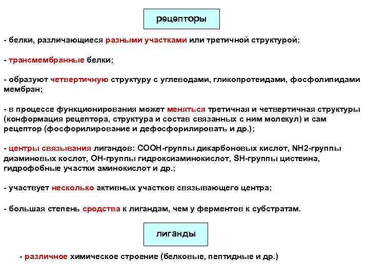 рецепторы - белки, различающиеся разными участками или третичной структурой; - трансмембранные белки; - образуют