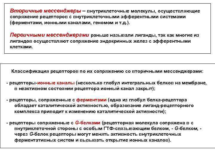 Вторичные мессенджеры – внутриклеточные молекулы, осуществляющие сопряжение рецепторов с внутриклеточными эфферентными системами (ферментами, ионными