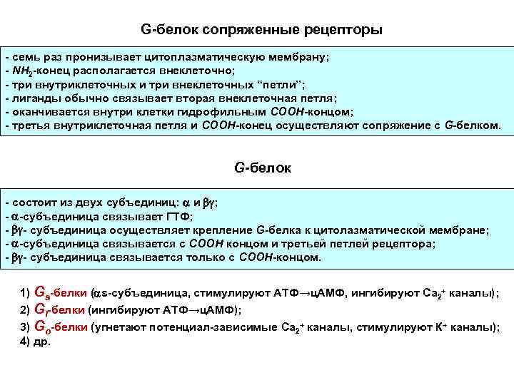 G-белок сопряженные рецепторы - семь раз пронизывает цитоплазматическую мембрану; - NH 2 -конец располагается