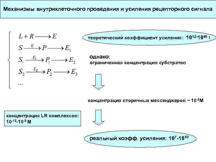 Механизмы внутриклеточного проведения и усиления рецепторного сигнала теоретический коэффициент усиления: 1012 -1040 ! однако: