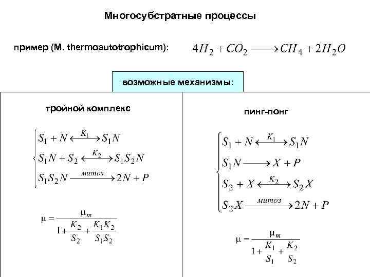 Многосубстратные процессы пример (M. thermoautotrophicum): возможные механизмы: тройной комплекс пинг-понг 