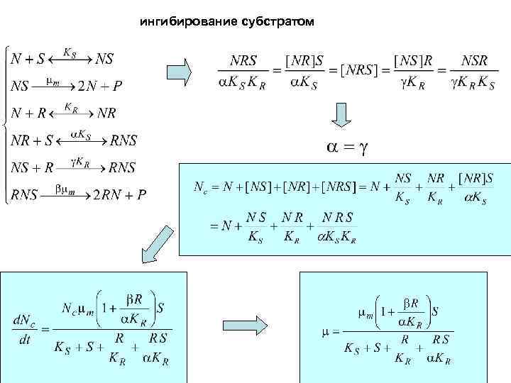 ингибирование субстратом 