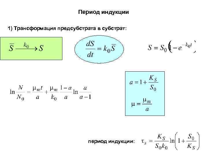 Период индукции 1) Трансформация предсубстрата в субстрат: период индукции: 